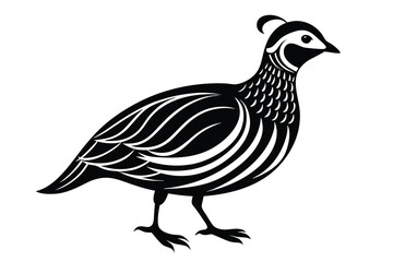 Fototapeta premium chukar silhouette line art vector illustration with a white background