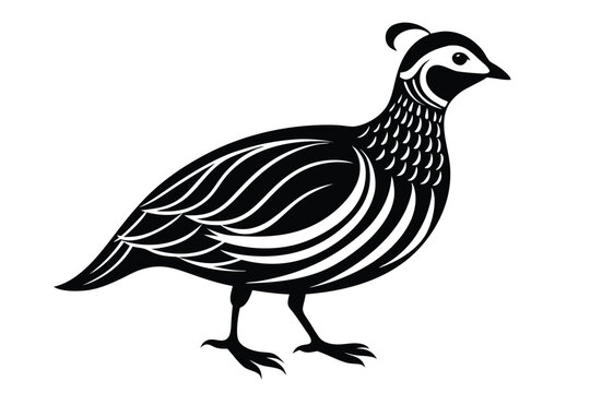 chukar silhouette line art vector illustration with a white background