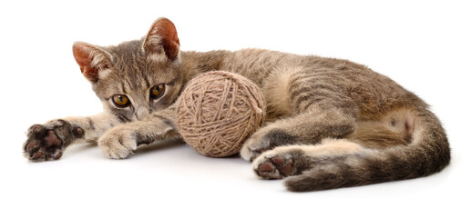 Grey kitten playing with ball of yarn isolated on white