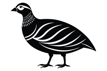 Fototapeta premium chukar silhouette line art vector illustration with a white background
