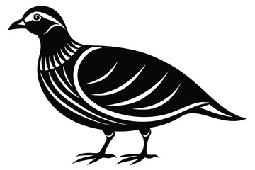 Fototapeta premium chukar silhouette line art vector illustration with a white background