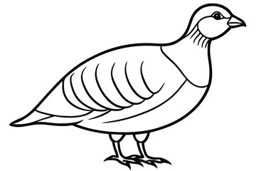 Fototapeta premium chukar silhouette line art vector illustration with a white background