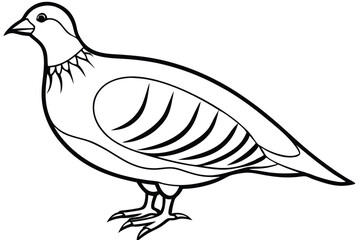 Obraz premium chukar silhouette line art vector illustration with a white background