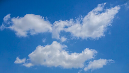 Naklejka premium White clouds floating gently across a clear blue sky on a sunny day from a low angle viewpoint