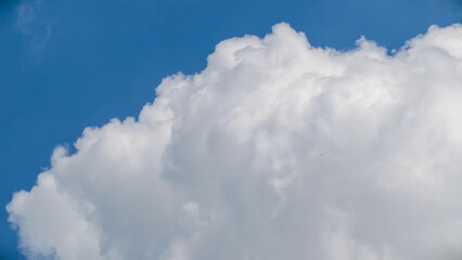 A large white cloud floats in a clear blue sky viewed from below