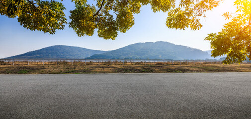 Empty asphalt road and tree with green mountain natural landscape on a sunny day