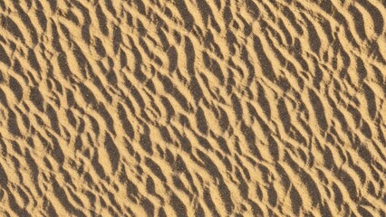 Obraz premium Rippled desert sand with alternating light and dark brown textured patterns, casting shadows