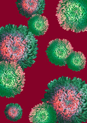 Xmas Abstract Chrysanthemum