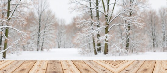 Winter landscape with snow-covered trees and wooden floor in foreground  
