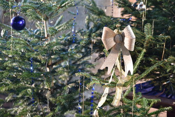 Sapin de No&euml;l en d&eacute;cembre