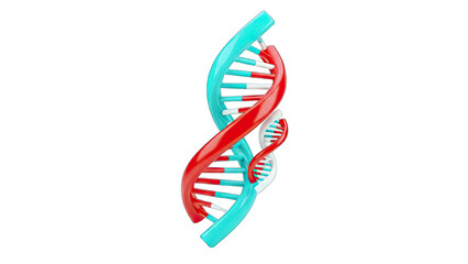 3D DNA Helix Structure Isolated on White Background
