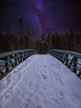 night in the park