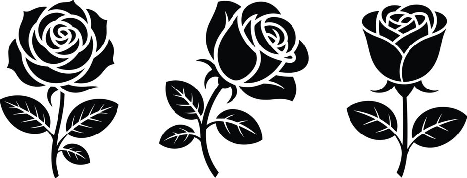 Three black silhouette roses with leaves on white background flower
