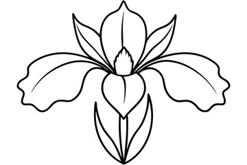 iris silhouette line art vector illustration with a white background © pipp99
