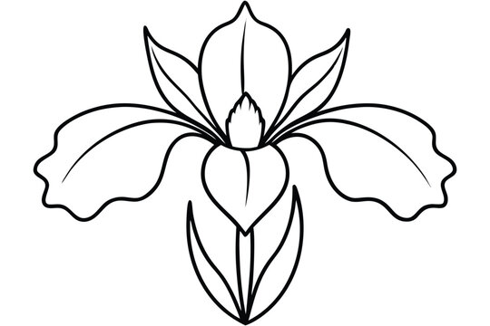 iris silhouette line art vector illustration with a white background