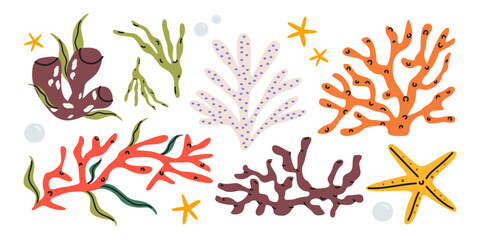 Exotic underwater flora and fauna cartoon elements in doodle style. Various sea ​corals, seaweed, starfish. Bright groovy ocean life vector illustrations © luamor