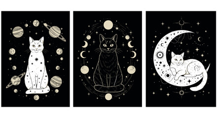 Set of three mystical black and white postcard illustrations featuring celestial cats with planets, moon phases, and stars in a vintage occult style. © MDEsmayil