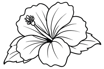 Fototapeta premium hibiscus silhouette line art vector illustration with a white background