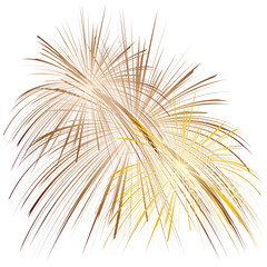 Obraz premium Festive fireworks icon. Vector EPS 10/AI