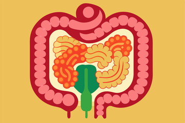 Vector illustration of human intestines in a clean design. Perfect for medical, educational, and healthcare projects.