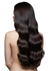 Naklejka premium Young woman, bare shoulders, long, dark brunette hair with glossy waves flowing down her back in a minimalist studio with soft lighting. Concept of hair health and beauty