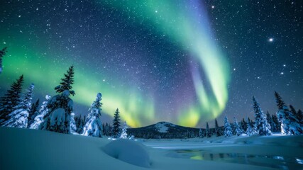 Majestic northern lights over snowy forest and mountain landscape in winter night