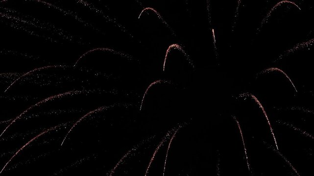 A stunning video of colorful fireworks exploding against a dark night sky. This festive display features bright sparks and vibrant light patterns, ideal for New Year or holiday celebration themes.