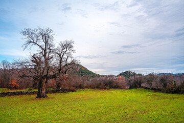 The scenic views of İbradı, which is a high plain in the Taurus Mountains with its buttoned houses and an old chesnut tree in Antalya, Turkey.