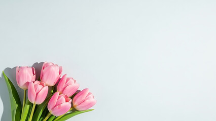 Vibrant Pink Tulips, Floral Arrangement, Minimalist Background, Photography, Indoor, Close-Up, Celebration of Nature's Beauty