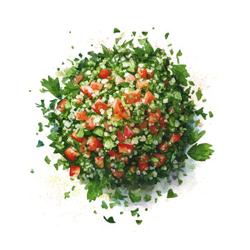 A watercolor painting of Tabbouleh Salad, vector illustration on white background.