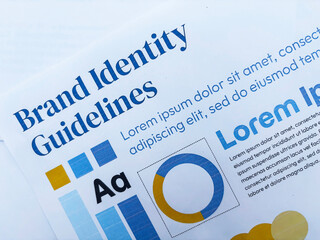Brand Identity guidelines showing on the paper with color palate and font selection background. Branding, designing, guidelines.