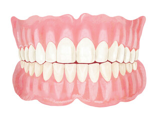 Obraz premium 入れ歯のイラスト-1