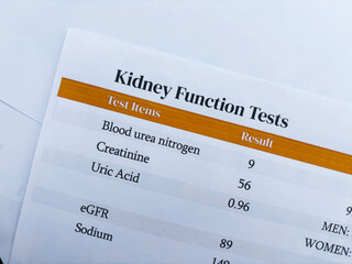 kidney funtion test report clsoe up with result and reference values in sight, backdrop.