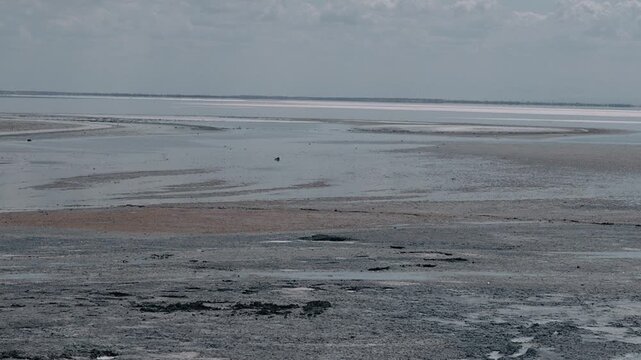 a salty pink lake in clear weather