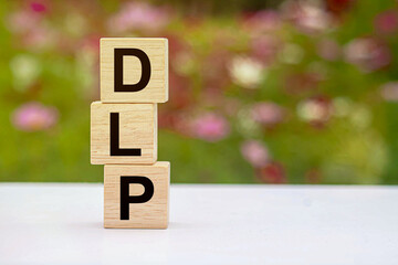 DLP Data Loss Prevention is a data loss prevention system that uses technologies, tools, and strategies to protect an organization's sensitive data from both internal and external leaks.