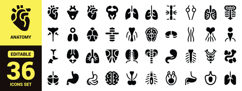 Human Internal Organ Icon Set with Minimalist Black Vector Symbols of Heart, Lungs, Brain, Stomach, Kidneys and Skeleton for Medical Design