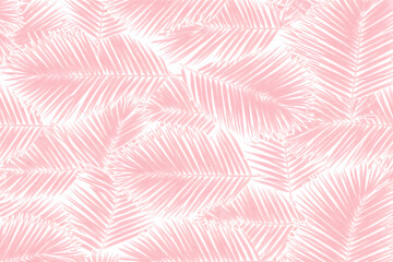 ピンクのフェーンリーフパターン背景、トロピカル植物のシームレスなデザイン
