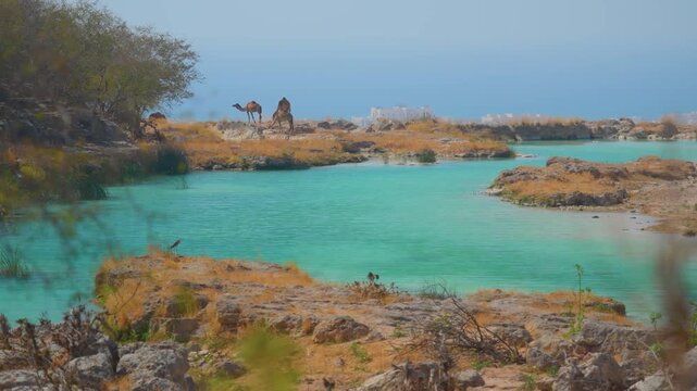 A beautiful, wide shot of the serene Wadi Darbat in the Dhofar region, east of Salalah, Oman. The vibrant turquoise water flows through a rocky, arid landscape with patches of green vegetation. Severa
