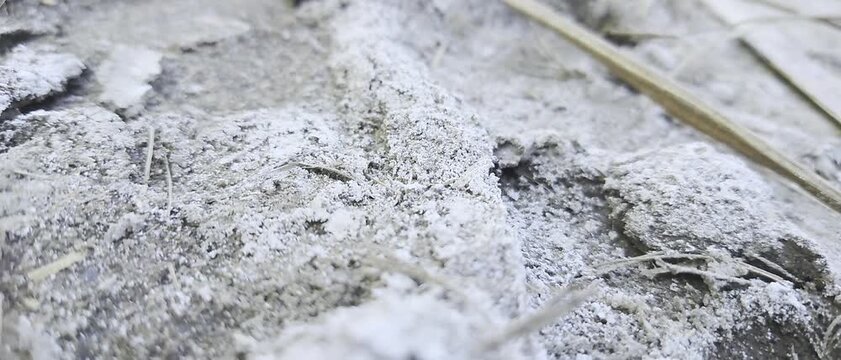 Dry Salinity Soil 4k video.