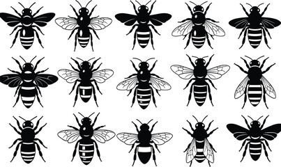 Bee silhouettes collection showing honey bees in different wing positions isolated on white background insect wildlife illustration concept © Shadhona