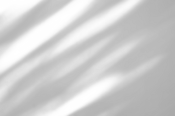 Abstract natural tree branch leaves shadow on white wall background