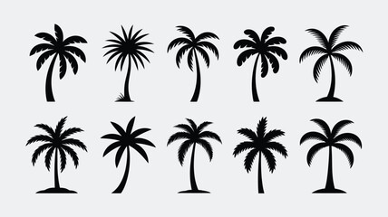 Obraz premium A collection of various black palm tree silhouettes stands elegantly against a soft light grey background