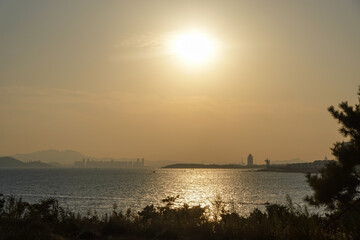 Sunlit Sea Surface With Trees At Edge