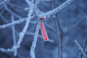 Trace, Mark, Sign, Red Ribbon