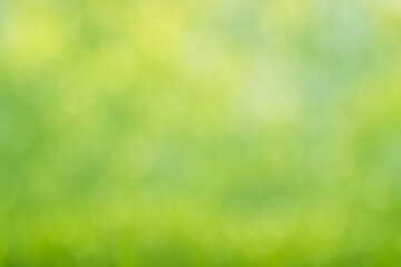 Obraz premium Soft green blurred bokeh background with natural light. Abstract spring backdrop ideal for design, wellness, eco themes, presentations, web banners, and copy space.