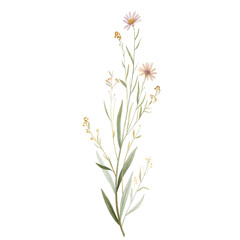 Watercolor wild meadow flowers with delicate stems isolated on black background