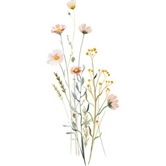 Watercolor wild daisy flowers with soft botanical leaves isolated on black background