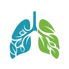 Stylized lungs with blue and green sections on white background medical anatomy