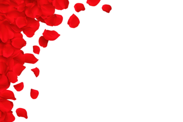 Love valentine background with red petals of hearts on transparent background. Vector banner, postcard, background.The 14th of February. PNG image