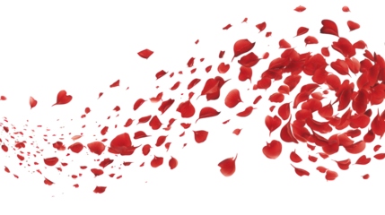 Love valentine background with red petals of hearts on transparent background. Vector banner, postcard, background.The 14th of February. PNG image